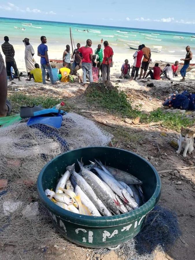 Shanka Lodge Zanzibar Kizimkazi Dış mekan fotoğraf